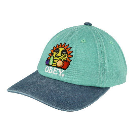 Pigment Fruits 6 Panel Snapback Cap