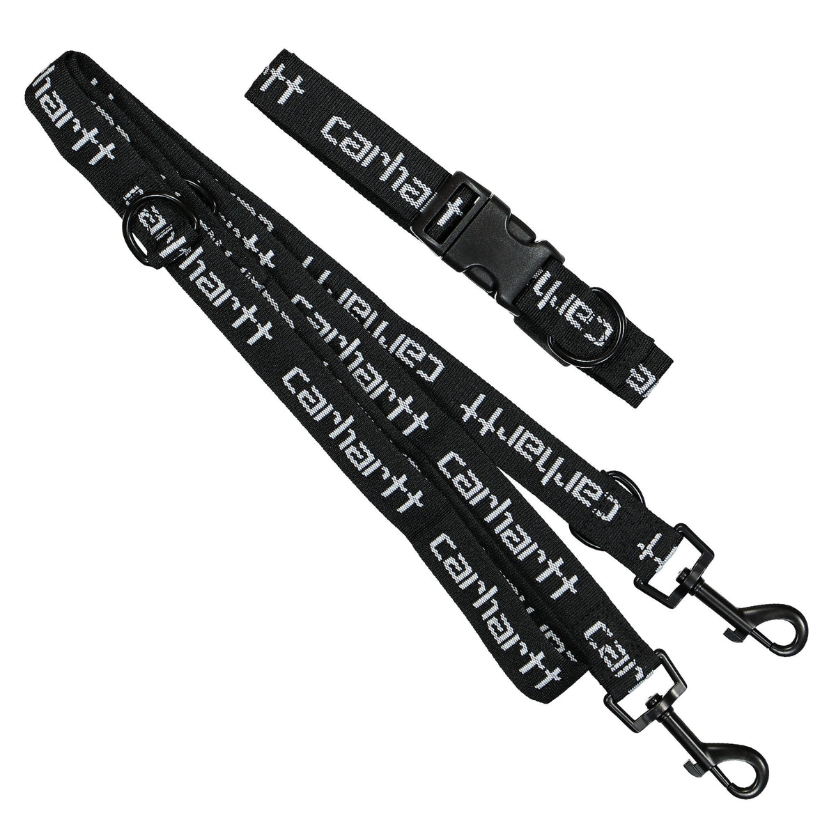 Script Dog Leash & Collar