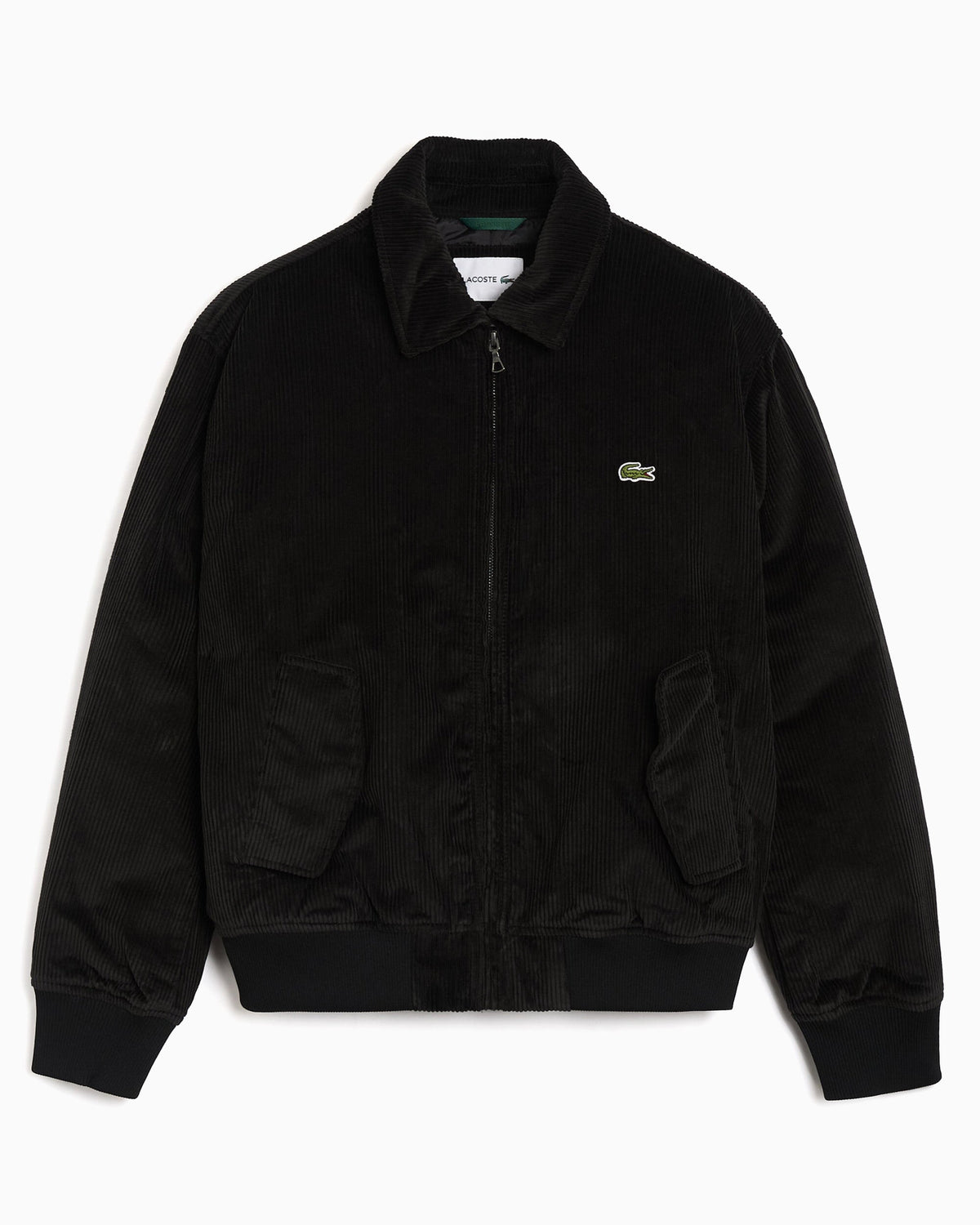 Bomber Relaxed de pana Lacoste para hombre
